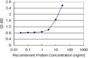 IFITM3 (Human) Matched Antibody Pair