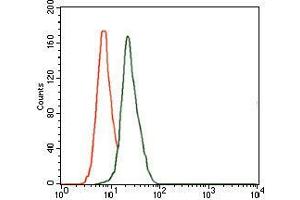 Flow cytometric analysis of HeLa cells using DLL4 mouse mAb (green) and negative control (red). (DLL4 抗体)