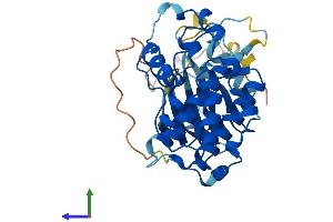 Protein Structure (PS) image for Cyclin-Dependent Kinase 20 (CDK20) (AA 1-346) protein (His tag) (ABIN7553226)