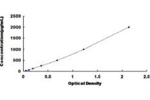 Typical standard curve (Amphiregulin ELISA 试剂盒)