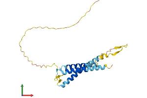 Protein Structure (PS) image for Solute Carrier Family 31 (Copper Transporters), Member 1 (SLC31A1) (AA 1-196) protein (His tag) (ABIN7559486)