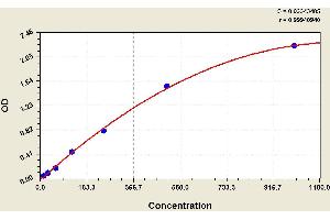 ELISA image for Calcitonin-Related Polypeptide alpha (CALCA) ELISA Kit (ABIN1113889) (CGRP ELISA 试剂盒)
