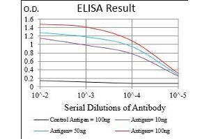 Black line: Control Antigen (100 ng), Purple line: Antigen(10 ng), Blue line: Antigen (50 ng), Red line: Antigen (100 ng),
