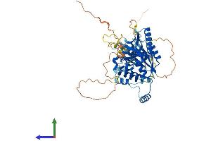 AlphaFold protein structure predicition of Human Recombinant M1AP Protein, UniprotID Q8TC57 (Meiosis 1 Associated Protein (M1AP) (AA 1-530) protein (His tag))