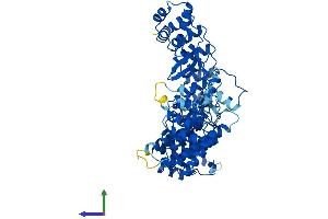 Protein Structure (PS) image for Fem-1 Homolog C (FEM1C) (AA 1-617) protein (His tag) (ABIN7559283)