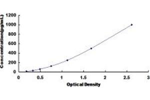 Typical standard curve (TNNT1 ELISA 试剂盒)