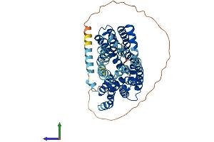 Protein Structure (PS) image for Solute Carrier Family 16 (Monocarboxylic Acid Transporters), Member 4 (SLC16A4) (AA 1-487) protein (His tag) (ABIN7549427)