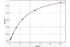 Ferritin (FE) ELISA Kit