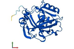 Protein Structure (PS) image for Isopentenyl-Diphosphate delta Isomerase 1 (IDI1) (AA 1-227) protein (His tag) (ABIN7548422)