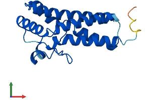 AlphaFold protein structure predicition of Mouse Recombinant Spaca9 Protein, UniprotID Q7TPM5