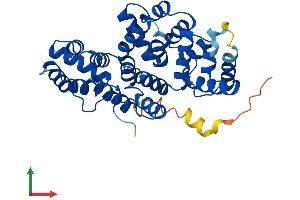 Protein Structure (PS) image for Annexin A9 (ANXA9) (AA 1-345) protein (His tag) (ABIN7561514)