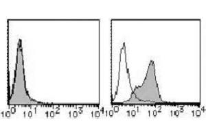 Flow Cytometry (FACS) image for anti-Poliovirus Receptor (PVR) antibody (PE) (ABIN1105910) (Poliovirus Receptor 抗体  (PE))