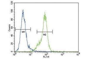 Dnmt1 antibody flow cytometric analysis of MDA-MB435 cells (right histogram) compared to a negative control (left histogram).