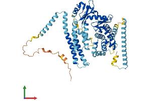 AlphaFold protein structure predicition of Human Recombinant ADCK5 Protein, UniprotID Q3MIX3