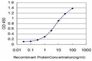 Detection limit for recombinant GST tagged DDX54 is approximately 0. (DDX54 抗体  (AA 778-881))