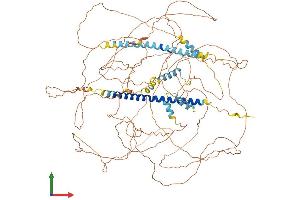 Protein Structure (PS) image for Mastermind-Like 1 (MAML1) (AA 1-1020) protein (His tag) (ABIN7564149)