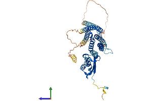 Protein Structure (PS) image for Solute Carrier Family 30 (Zinc Transporter), Member 4 (SLC30A4) (AA 1-429) protein (His tag) (ABIN7545769)