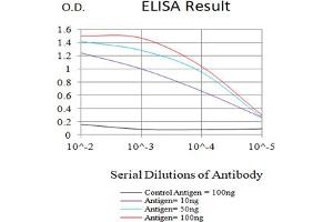 Black line: Control Antigen (100 ng),Purple line: Antigen (10 ng), Blue line: Antigen (50 ng), Red line:Antigen (100 ng) (EPAS1 抗体  (AA 680-870))
