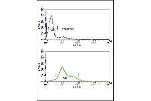 MDH1 Antibody (C-term) (ABIN389447 and ABIN2839517) flow cytometry analysis of HL-60 cells (bottom histogram) compared to a negative control cell (top histogram). (MDH1 抗体  (C-Term))