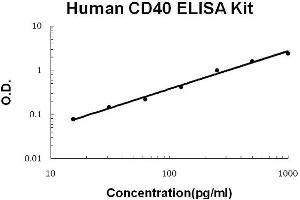 Human CD40/TNFRSF5 PicoKine ELISA Kit standard curve (CD40 ELISA 试剂盒)
