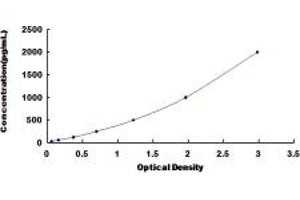 Typical standard curve (C1QC ELISA 试剂盒)