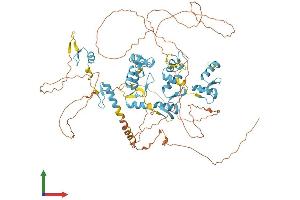AlphaFold protein structure predicition of Human Recombinant ZNF711 Protein, UniprotID Q9Y462