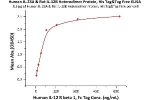 Immobilized Human IL-23A & Rat IL-12B Heterodimer Protein, His Tag&Tag Free (3) at 5 μg/mL (100 μL/well) can bind Human IL-12 R beta 1, Fc Tag (ABIN6731330,ABIN6809859) with a linear range of 5-78 ng/mL (Routinely tested). (IL12A & IL27B (AA 20-189) (Active) protein (His tag))