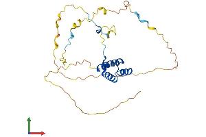 AlphaFold protein structure predicition of Mouse Recombinant Hoxc4 Protein, UniprotID Q08624
