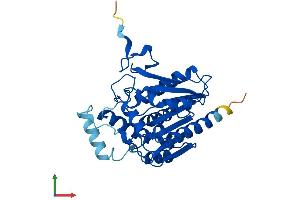 Protein Structure (PS) image for Monoglyceride Lipase (MGLL) (AA 1-303) protein (His tag) (ABIN7562358)