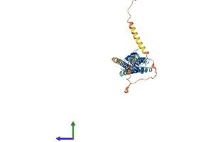 AlphaFold protein structure predicition of Mouse Recombinant Gsg1 Protein, UniprotID Q8R1W2