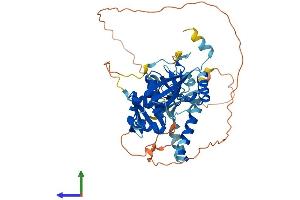 Protein Structure (PS) image for tRNA-splicing Endonuclease Subunit SEN2 (TSEN2) (AA 1-460) protein (His tag) (ABIN7564093)