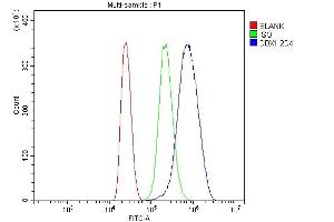 Flow Cytometry analysis of MCF-7 cells using anti-DDX1 antibody (ABIN7602051).