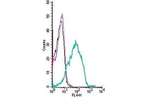 Cell surface detection of CADM1 by indirect flow cytometry in live intact human Jurkat T-cell leukemia cell line: + goat-anti-rabbit-APC.