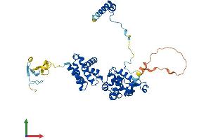 Protein Structure (PS) image for BRF2, Subunit of RNA Polymerase III Transcription Initiation Factor, BRF1-Like (BRF2) (AA 1-419) protein (His tag) (ABIN7552642)