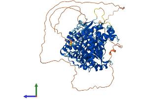 Protein Structure (PS) image for Family with Sequence Similarity 120B (FAM120B) (AA 1-786) protein (His tag) (ABIN7558101)
