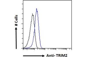 ABIN184974 Flow cytometric analysis of paraformaldehyde fixed Jurkat cells (blue line), permeabilized with 0. (TRIM2 抗体  (C-Term))