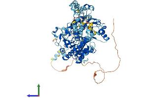 Protein Structure (PS) image for RAD54-Like (RAD54L) (AA 1-747) protein (His tag) (ABIN7563519)