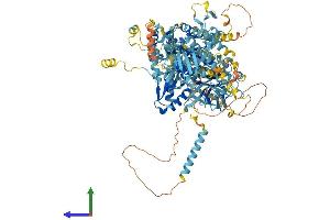 Protein Structure (PS) image for Ephrin A1 (EFNA1) (AA 1-1120) protein (His tag) (ABIN7553761)