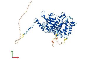 Protein Structure (PS) image for Mitochondrial Ribosomal Protein S30 (MRPS30) (AA 1-439) protein (His tag) (ABIN7551668)