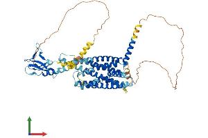 Protein Structure (PS) image for Glucagon-Like Peptide 2 Receptor (GLP2R) (AA 1-553) protein (His tag) (ABIN7548071)
