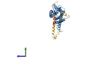 AlphaFold protein structure predicition of Human Recombinant HCRTR2 Protein, UniprotID O43614