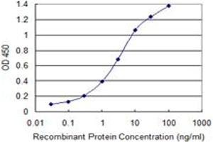 Detection limit for recombinant GST tagged DCLK1 is 0. (DCLK1 抗体  (AA 640-729))