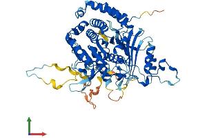 Protein Structure (PS) image for Misato Homolog 1 (MSTO1) (AA 1-556) protein (His tag) (ABIN7557016)