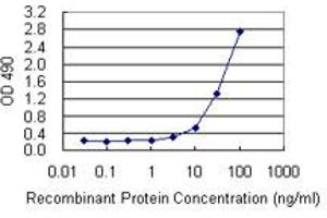 Sandwich ELISA detection sensitivity ranging from 3 ng/mL to 100 ng/mL. (LTBR (人) Matched Antibody Pair)