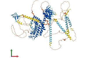Protein Structure (PS) image for rho/rac Guanine Nucleotide Exchange Factor (GEF) 2 (ARHGEF2) (AA 1-986) protein (His tag) (ABIN7552269)