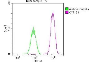 Overlay histogram showing HepG2 cells stained with ABIN7127664 (red line) at 1:50. (Recombinant PAK2 抗体)