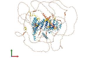 AlphaFold protein structure predicition of Mouse Recombinant Slf2 Protein, UniprotID Q6P9P0