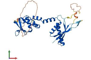 AlphaFold protein structure predicition of Human Recombinant KCTD7 Protein, UniprotID Q96MP8