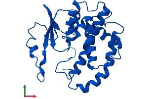 Protein Structure (PS) image for Glutathione S-Transferase mu 5 (GSTM5) (AA 1-218) protein (His tag) (ABIN7548188)