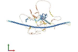 Protein Structure (PS) image for Protein Phosphatase 1, Regulatory Subunit 9B, Spinophilin (PPP1R9B) (AA 1-817) protein (His tag) (ABIN7564145)
